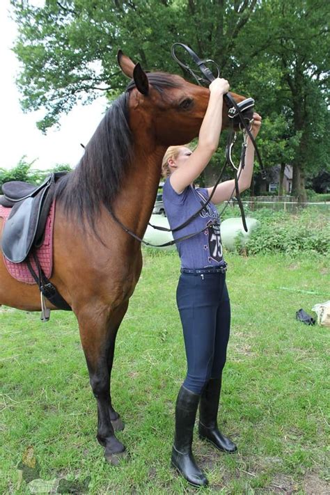 xxx reiten|reiten Search